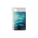Lacquered lighter