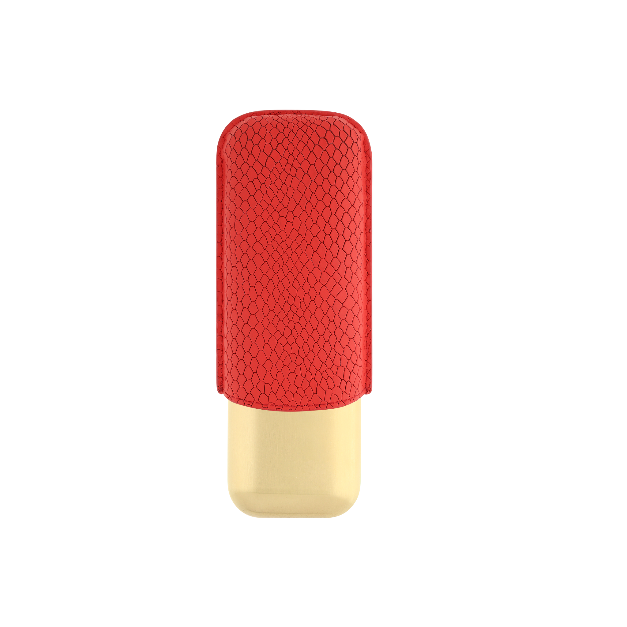 Etui Cuir