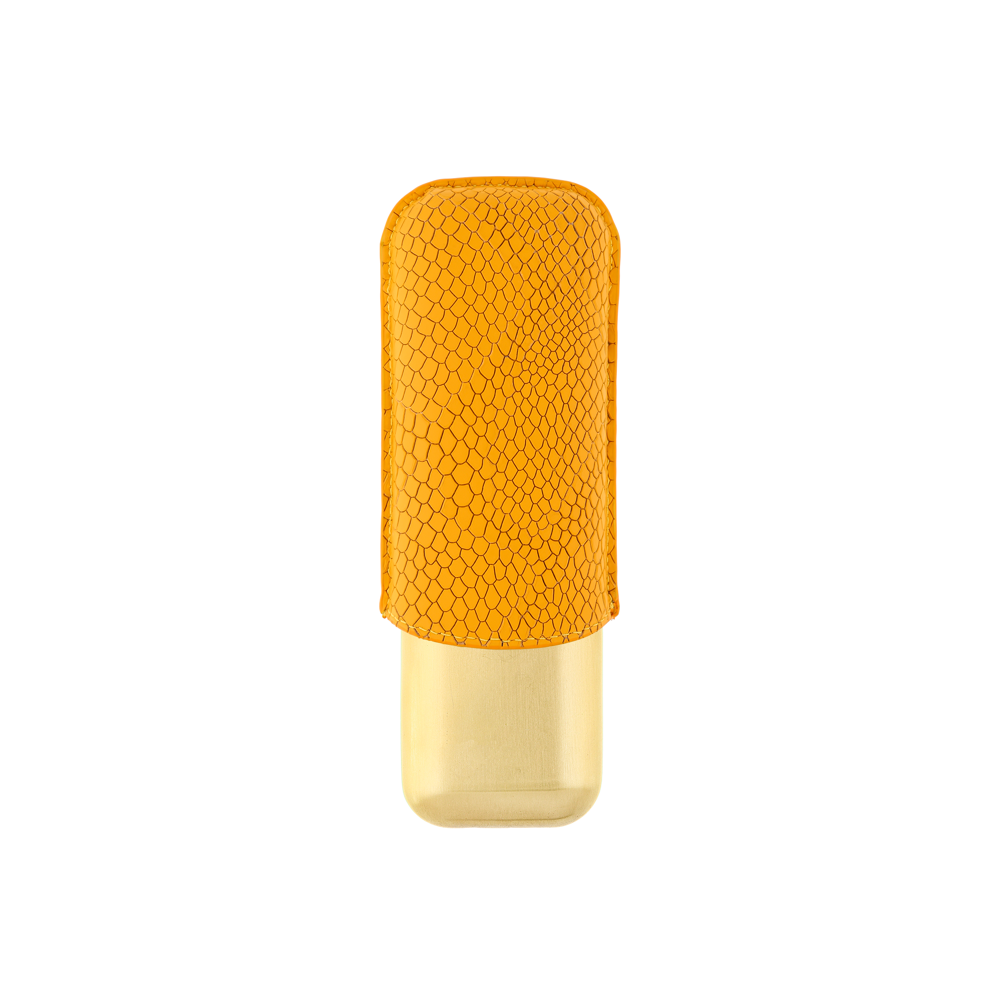 Etui Cuir