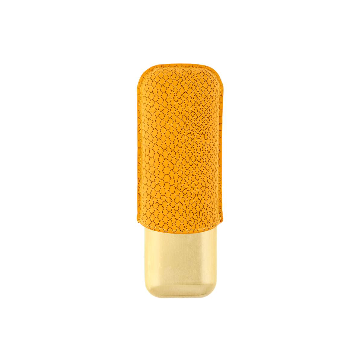 Etui Cuir