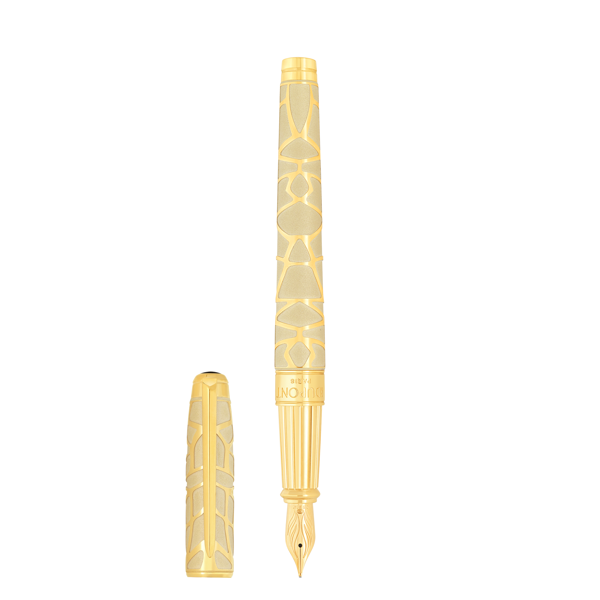 Fountain pen large