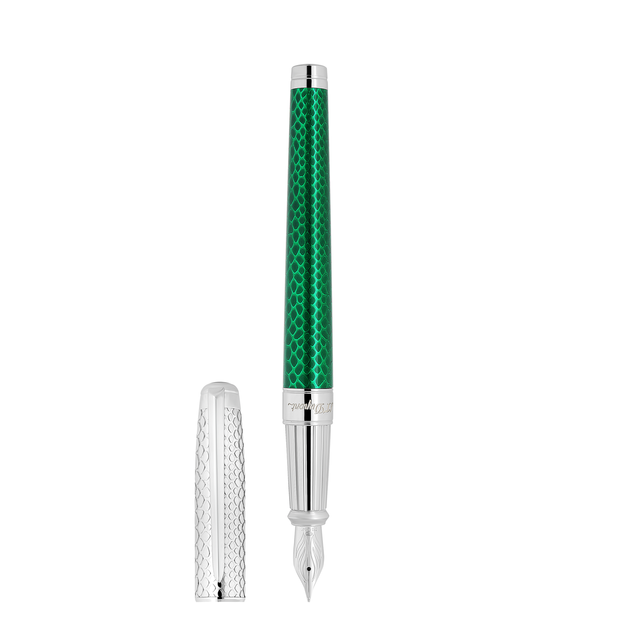 Fountain pen large