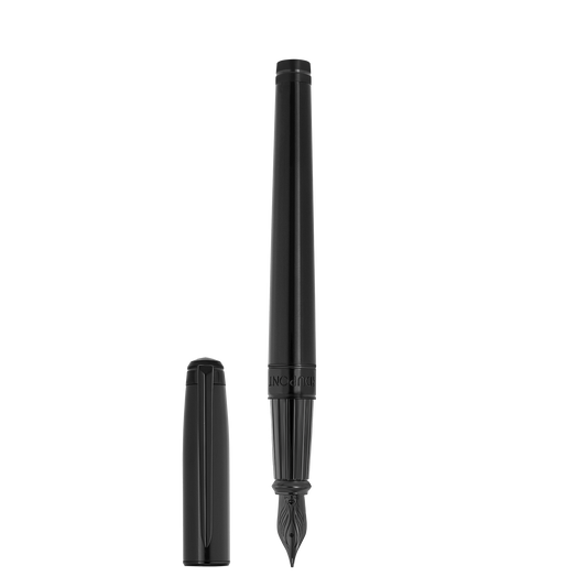 Fountain pen large