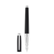 Fountain pen Large
